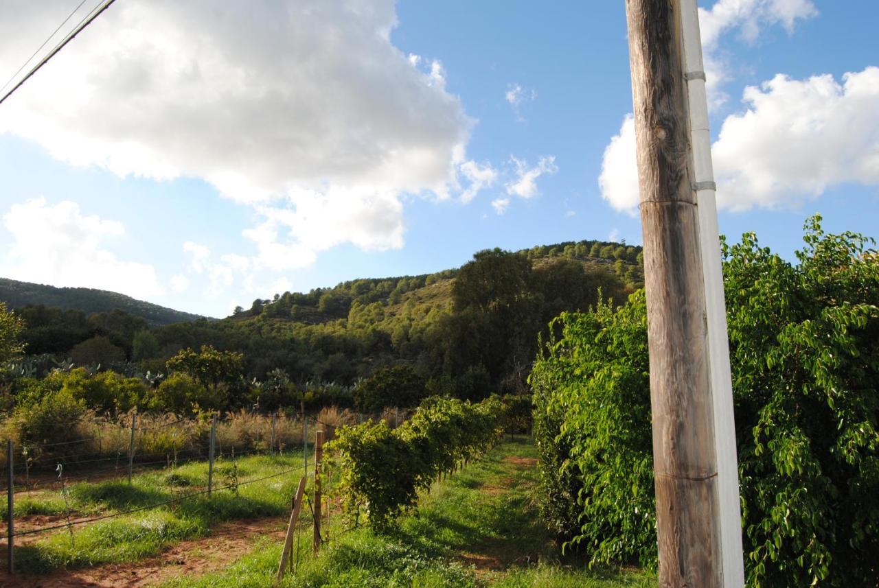 Bed & Breakfast Arenosu25